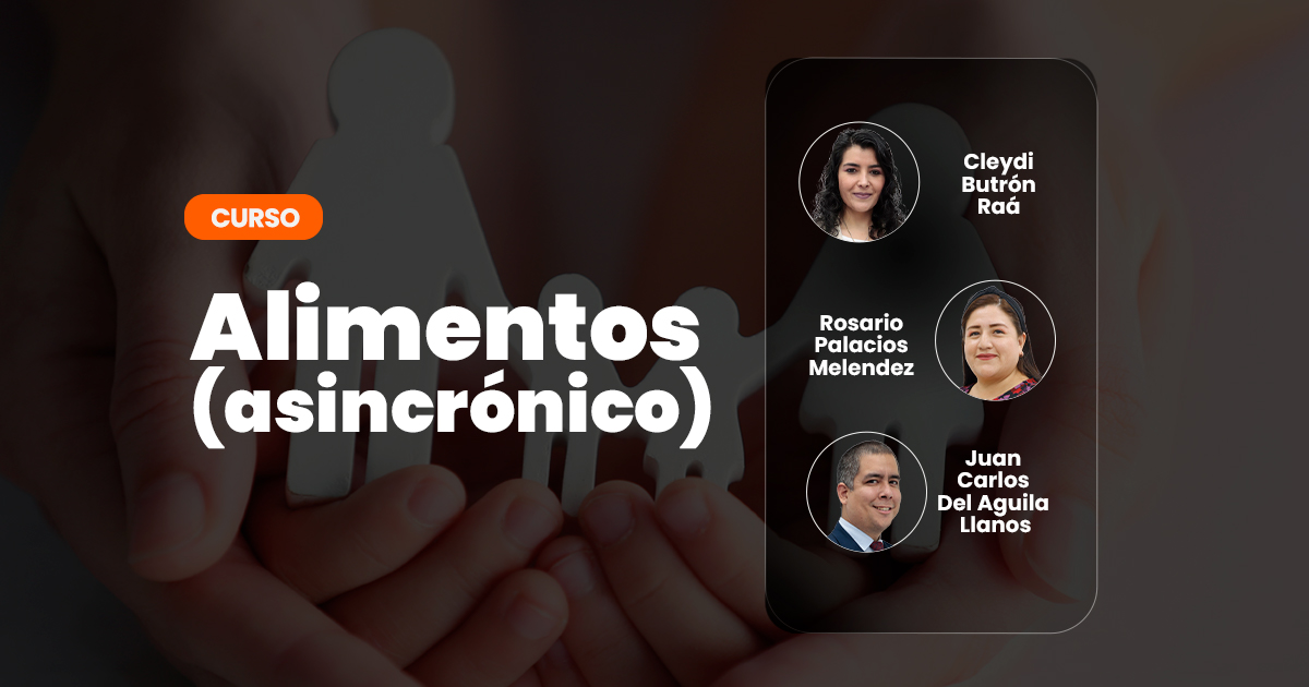 BANNER DEL CURSO ALIMENTOS-2 BANNER DEL CURSO ALIMENTOS-2